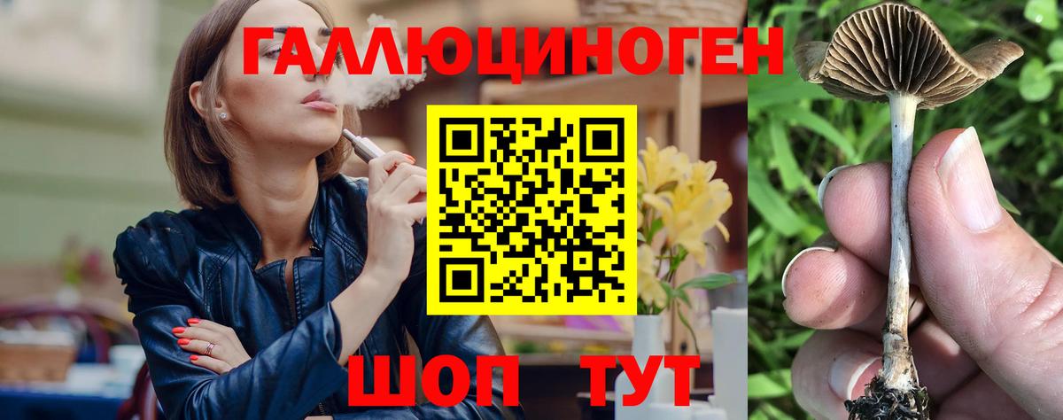 Псилоцибиновые грибы MAGIC MUSHROOMS  Псилоцибиновые грибы прущие грибы  Шахты  Вход с VPN 